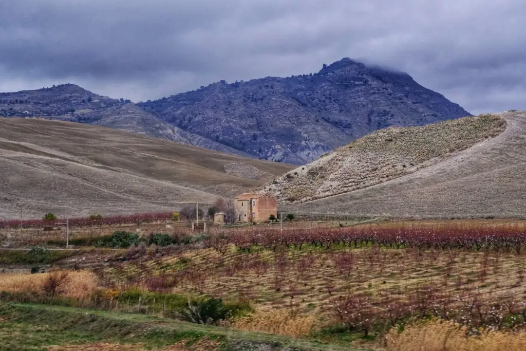 Rolling hills and vineyards in the Sicilian countryside near Palermo on a cloudy winter day